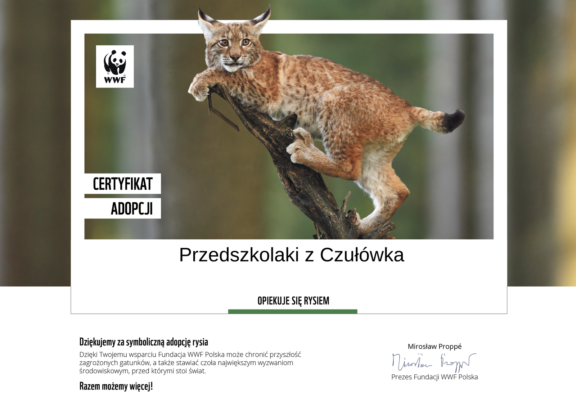 WWF – Pomagamy chronić zagrożone gatunki